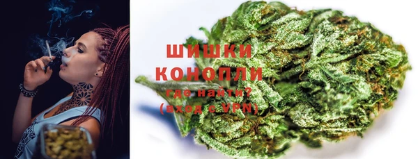 spice Бронницы